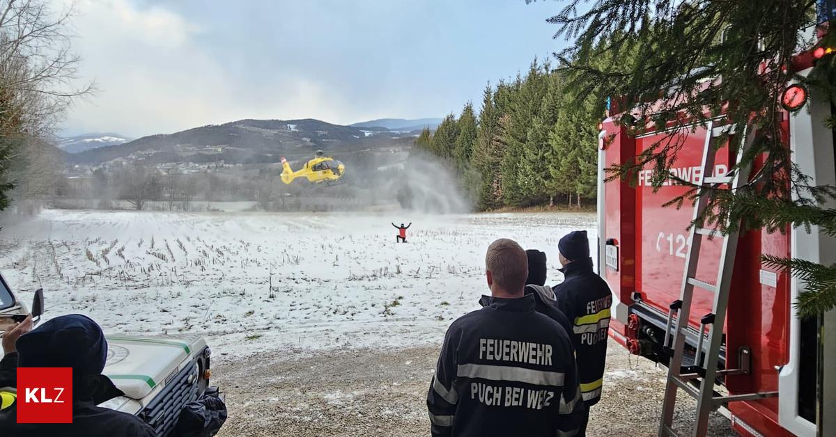 Forstunfall-in-Puch-bei-Weiz-57-J-hriger-st-rzte-samt-Baum-in-Bach-und-blieb-stundenlang-unentdeckt