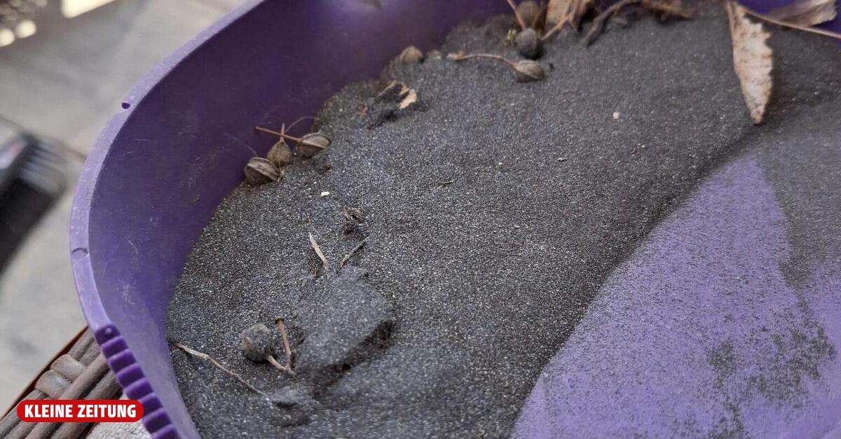 Black dust in Leoben-Donawitz alarms residents