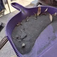 Dieser schwarze Staub ist in den vergangenen Tagen in Donawitz offenbar vermehrt angefallen