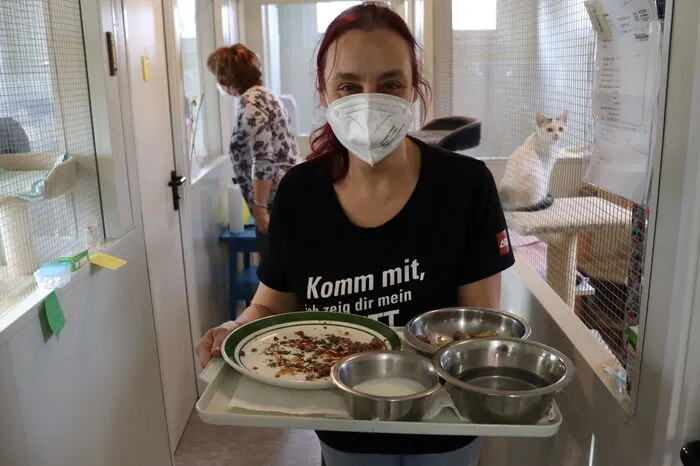 Freiwillige Helfer sind bei den Weizer Katzenfreunden immer herzlich willkommen.
