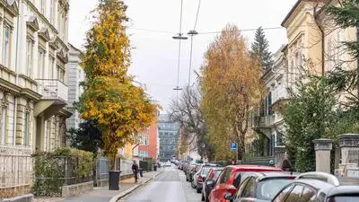 Parkende Pkw in der Beethovenstraße (Archivbild)