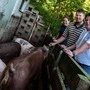 Veterinär-Referent Stadtrat Christian Pober, Biobauer Michael Köchl und Veterinärin Theresia Meschik (von rechts)