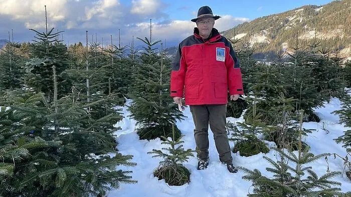 Karl Sackl in seinem "Christbaum-Hauptquartier" in St. Peter ob Judenburg