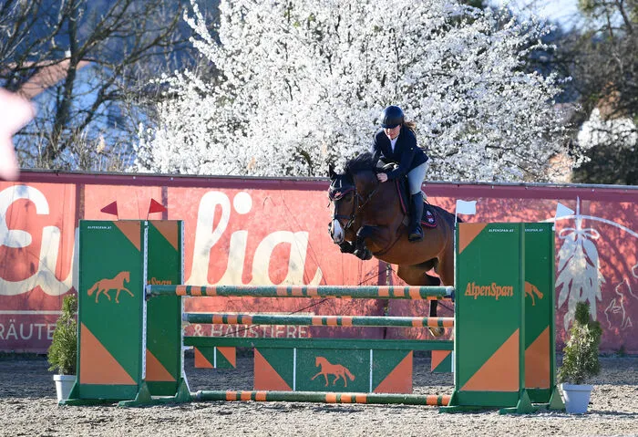 Die Bundesländer-Mannschafts-Meisterschaft im Springreiten findet von 25. bis 27. August in Köflach statt