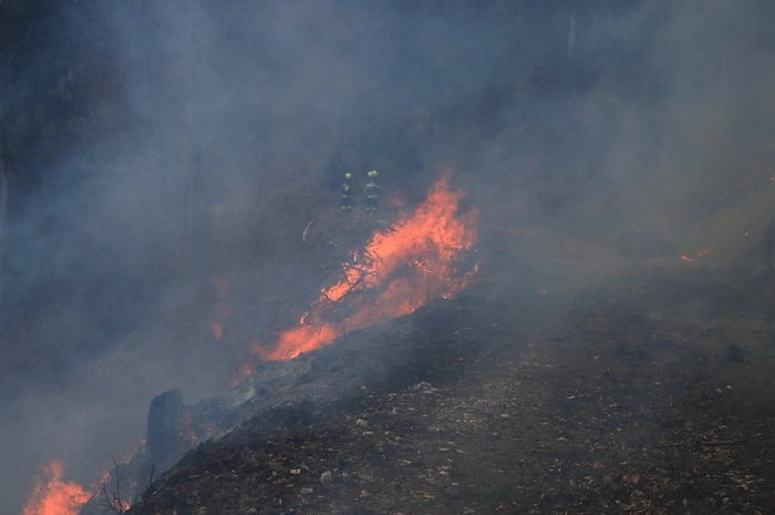 Den Florianis wird bei der Brandbekämpfung alles abverlangt, das steile Gelände, die extreme Trockenheit, der böige, ständig die Richtung wechselnde Wind, die enorme Rauchentwicklung und auch die Hitze machen den Feuerwehrmännern zu schaffen.