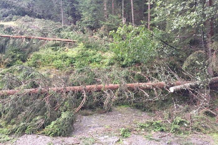 In Kaning war die Straße von umgestürzten Bäumen blockiert.