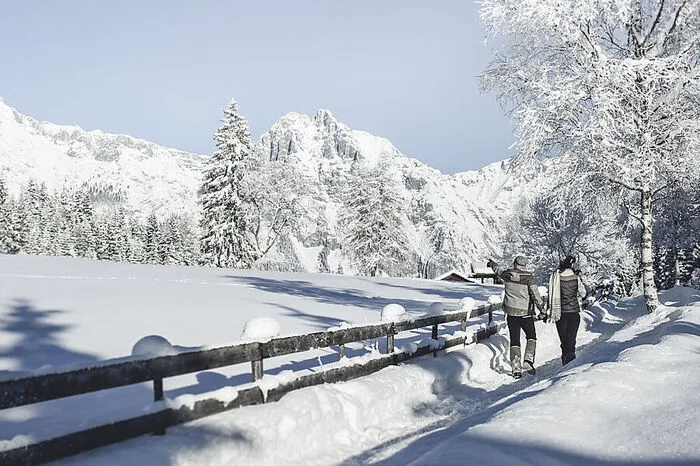Seefeld. Vier Tage lang in die verschneite Bergwelt der Olympiaregion Seefeld eintauchen können die Teilnehmer dieser Weitwanderung. Der erste Weitwanderweg Tirols, der im Winter begehbar gemacht wurde, erstreckt sich über das gesamte Seefelder Plateau.