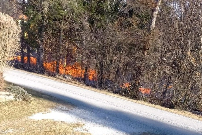 Die Feuerwehr Stiwoll löschte einen Waldbrand, versursacht  durch einen defekten Trafo.