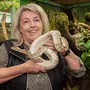 Helga Happ hat drei ausgesetzte Königspythons in ihrem Reptilienzoo aufgenommen