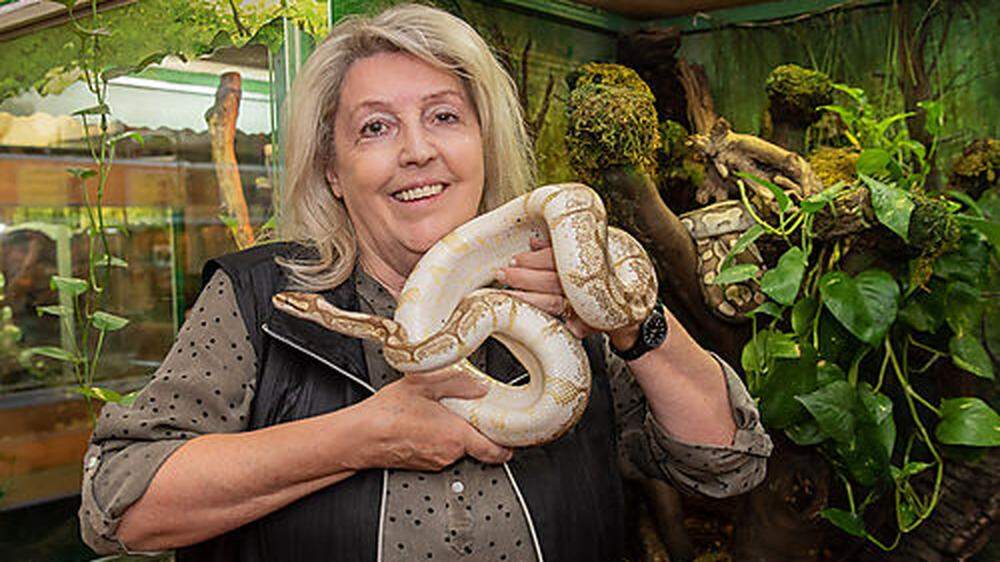 Helga Happ hat drei ausgesetzte Königspythons in ihrem Reptilienzoo aufgenommen