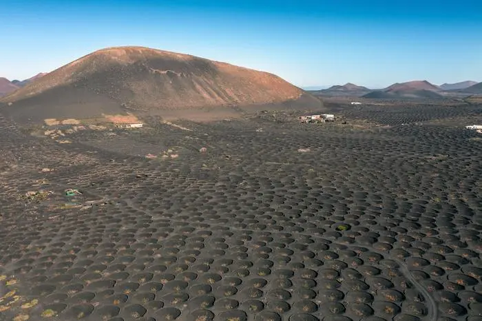 Weinanbau auf Lavaboden sorgt für einen besonderen Geschmack
