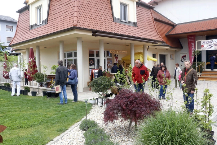...beim Aroniahof Kober in Hochenegg bei Ilz.