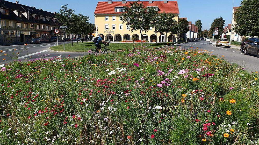 Eine Blumenwiese wie auf dem Hauptmann-Hermann-Platz soll es auch am Fischl-Bahnhof, in der Flughafenstraße und beim Sever-Eck geben