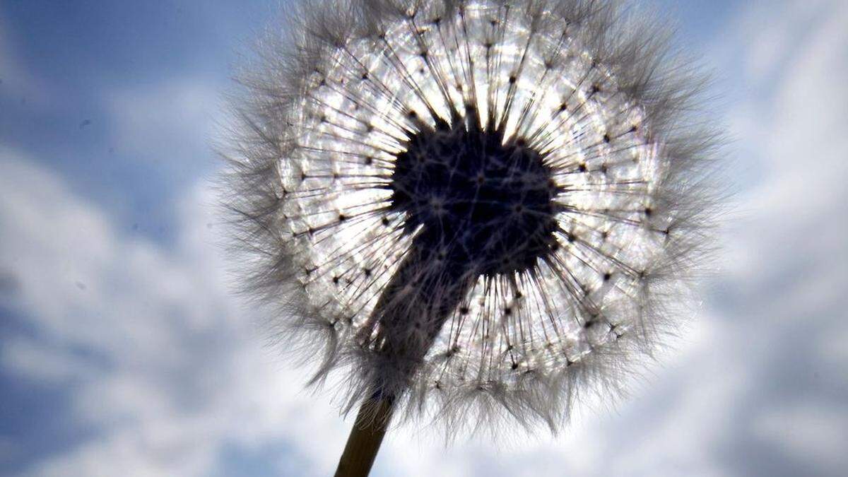 Auf sonnigen Sonntag folgt wechselhaftes Wetter