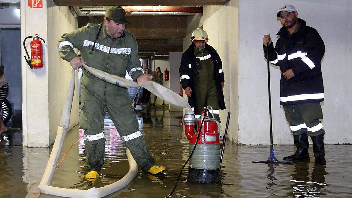 Sie sind unermüdlich im Einsatz