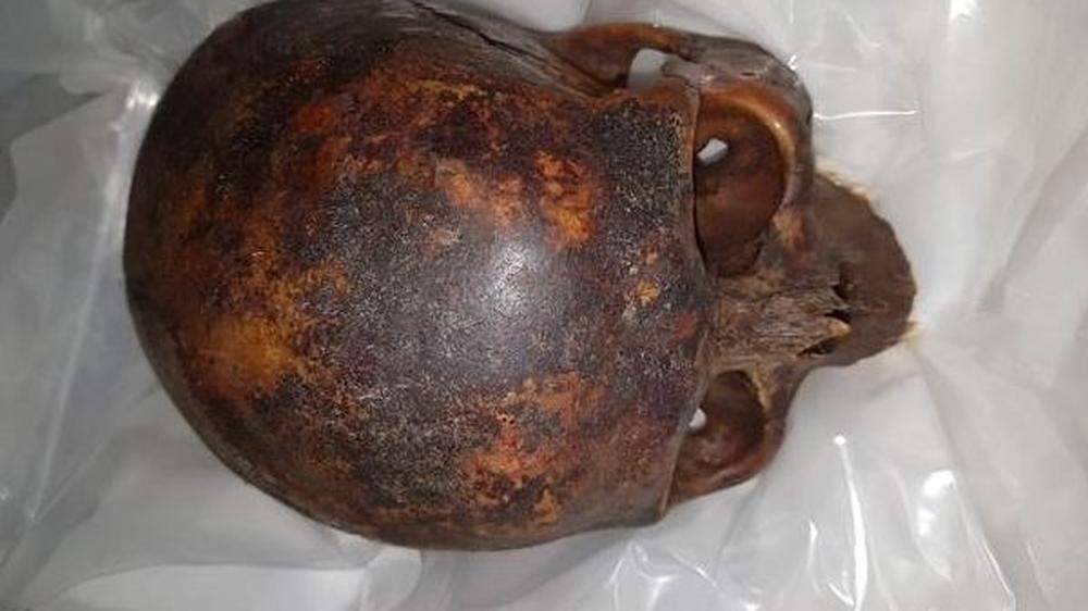 Gestohlener Mumienkopf wieder entdeckt