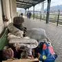 Ein überdachter Bahnsteig. Auf einer Bank sitzt zwischen vielen Dingen ein Mann mit dem Rücken zur Kamera | Trotz niedriger Temperaturen schlafen in Villach Menschen im Freien