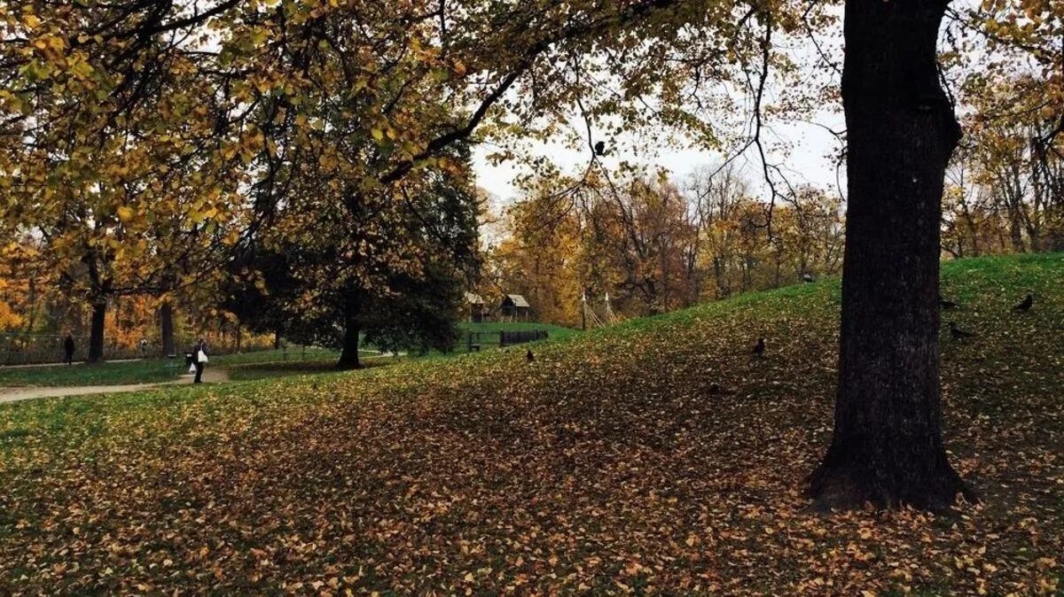 Der Augarten in seiner Herbstlichkeit
