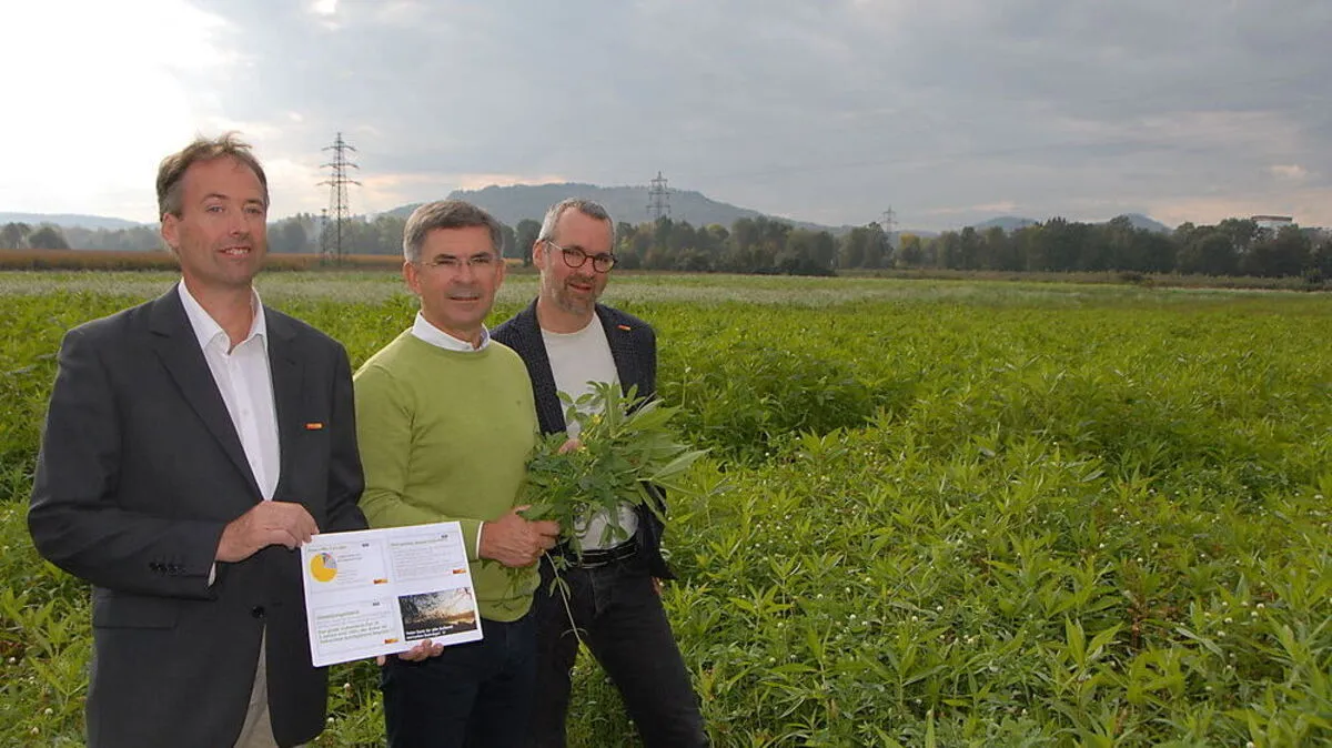 Christian Krotscheck, Franz Fartek und Michael Fend auf Flächen mit Winterbegrünung in Raabau