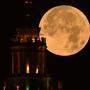 Russia Supermoon 8506315 31.08.2023 A full moon, known as the blue moon, appears behind the main building of the Lomonos