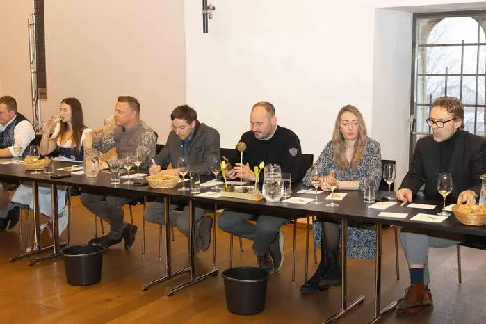Eine fachkundige Jury aus Wirtschaft, Politik und dem gesellschaftlichen Leben des Bezirkes bewertete die Weine und ermittelte die diesjährigen Ballweine, die beim Bezirksbauernball ausgeschenkt werden.