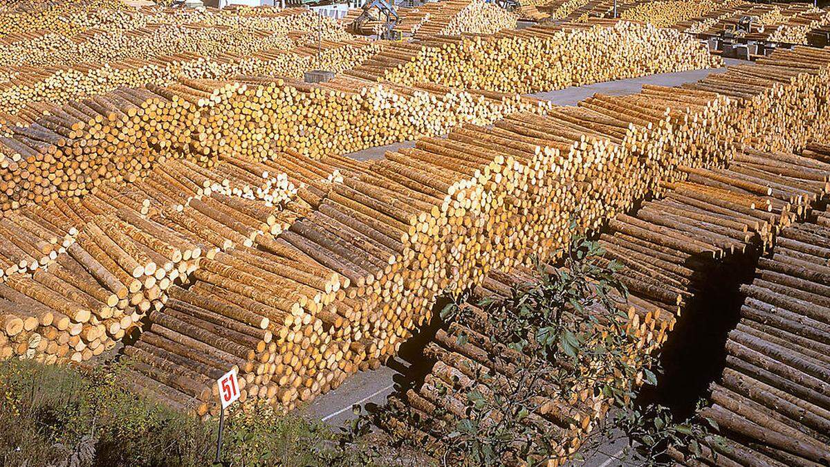 Begehrter Rohstoff Holz 
