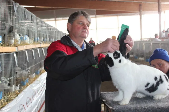 Zum Auftakt haben 28 Preisrichter die Tiere bewertet und prämiert.