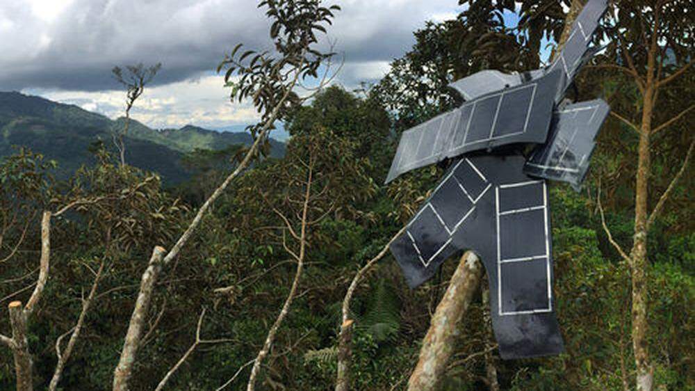 Rainforest Connection sammelt Echtzeitdaten im Regenwald