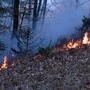 Die FF Stallhofen war am Freitagvormittag aufgrund eines Waldbrands im Einsatz
