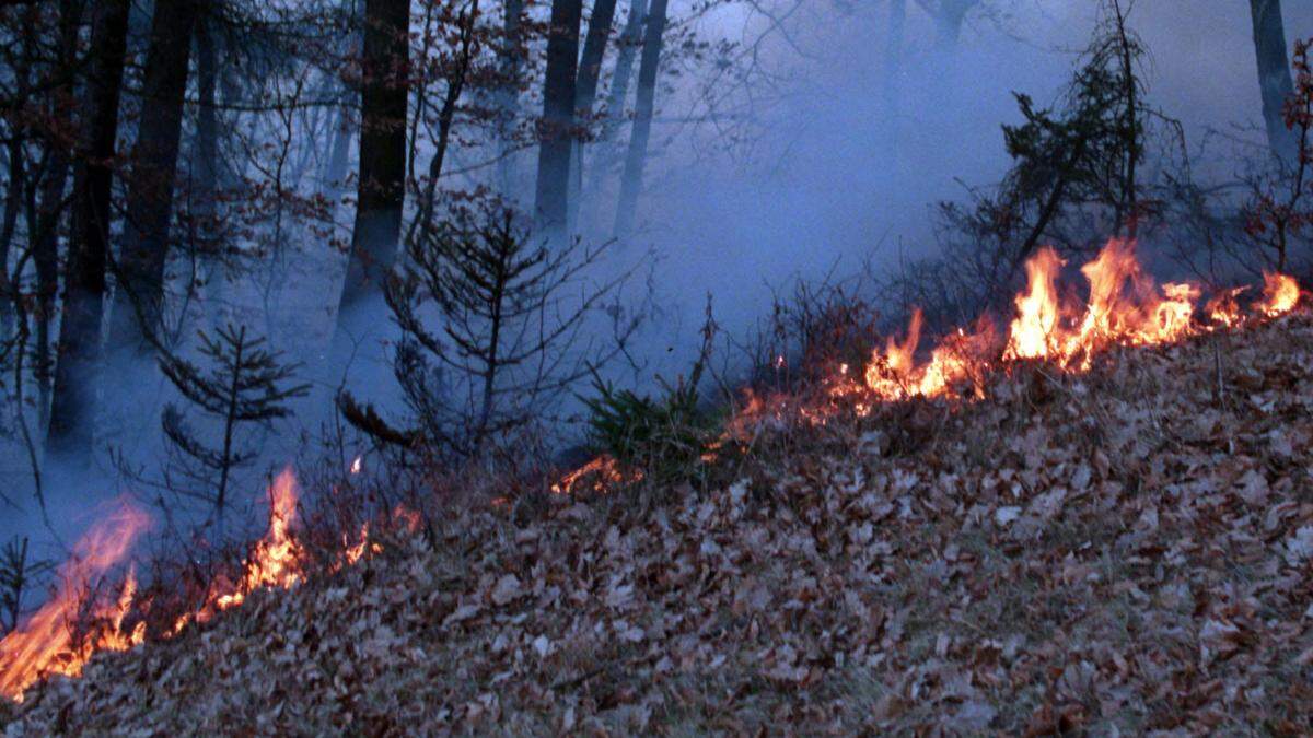 Die FF Stallhofen war am Freitagvormittag aufgrund eines Waldbrands im Einsatz