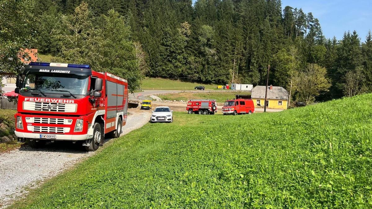 Die Feuerwehr Maria Lankowitz wurde zu einer ungewöhnlichen Bergungsaktion alarmiert