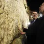 Bundespräsident Alexander Van der Bellen vor der Klagemauer in Jerusalem. Im Hintergrund: Oskar Deutsch, Präsident der israelitischen Kultusgemeinde 