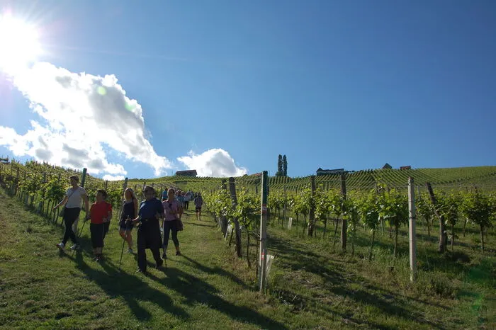Der Chorverband Leibnitz unter der Leitung von Obmann Ernst Schneeberger und Chorleiter Johann Assinger hatte in Zusammenarbeit mit dem Tourismusverband Gamlitz zum gemeinsamen Singen in den Weinbergen eingeladen.