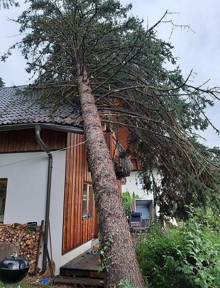 In Millstatt stürzte ein Baum auf ein Wohnhaus