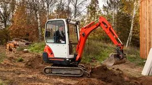 Wer anderen eine Grube gräbt, hat ein Grubengrab-Gerät, ähnlich dem hier dargestellten. Mit einem Bagger Müll auf einem Privatgrund einzugraben, ist verboten