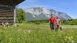 150.000 Wanderer sind pro Sommersaison im Schnitt auf dem Hausberg	