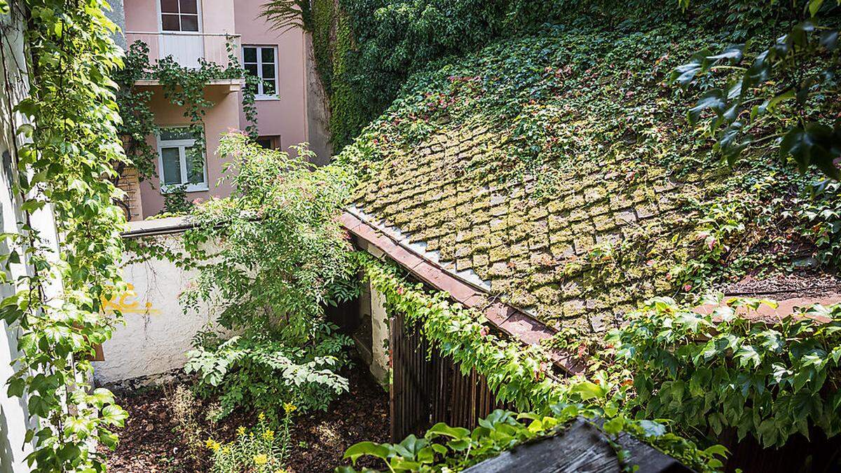 Schandfleck wartet auf Erlösung