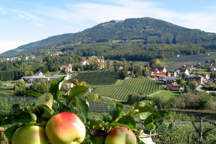 Die Apfelstraße mit der Gemeinde Puch und dem markanten Kulm
