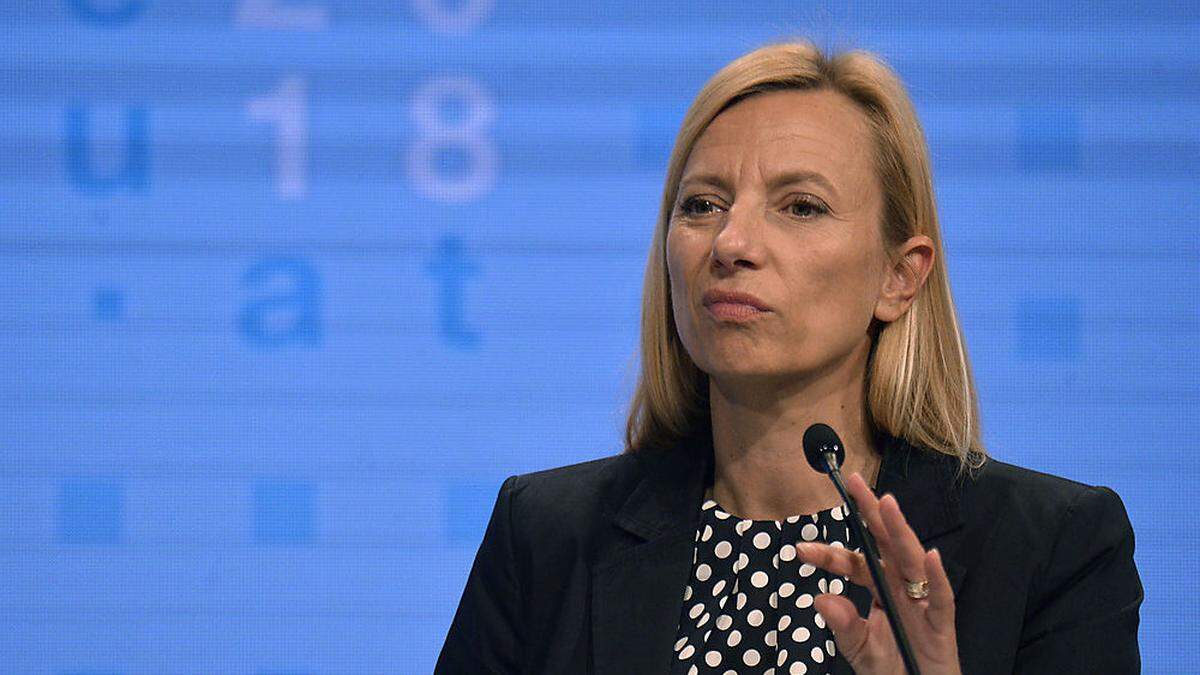 Familienministerin Juliane Bogner-Strauß ist mit herber Kritik konfrontiert. 