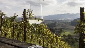 Der steirische Wein 2021 ist da