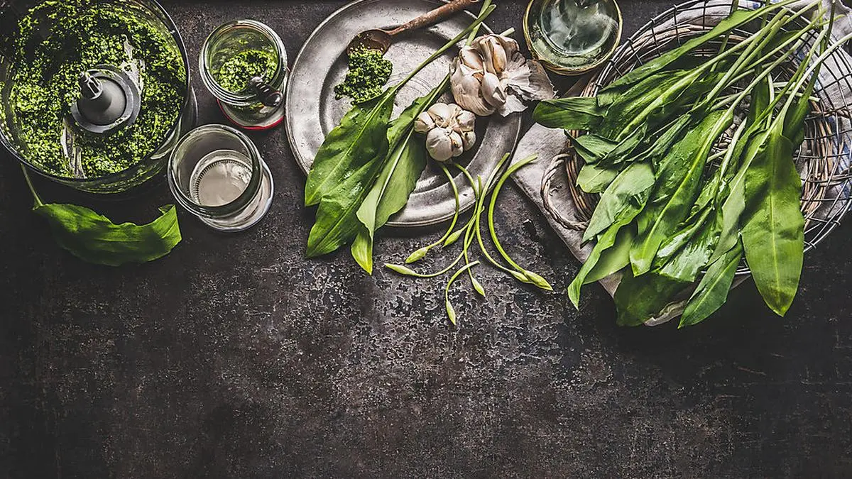 Hocharomatisch: wilder Knoblauch