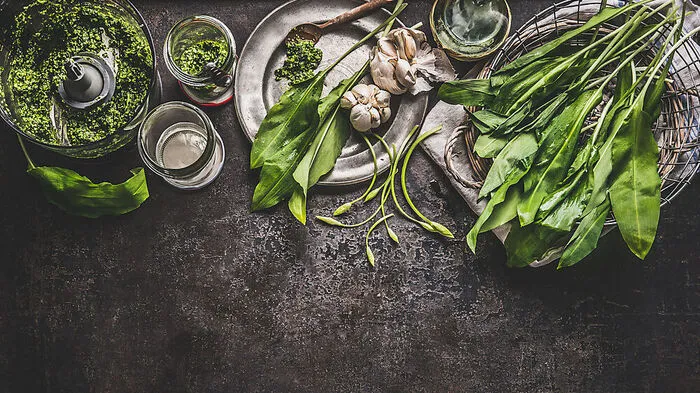 Hocharomatisch: wilder Knoblauch
