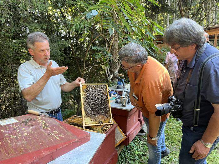 Präsident des Landesverbandes für Bienenzucht Werner Kurz zeigte Feldbacher Imkerinnen und Imkern seine Bienen
