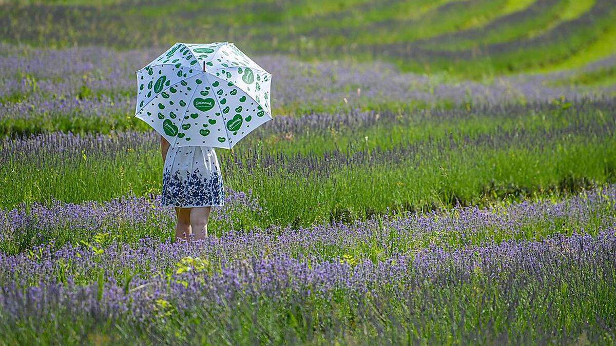 Wetter bleibt unbeständig und eher kühl