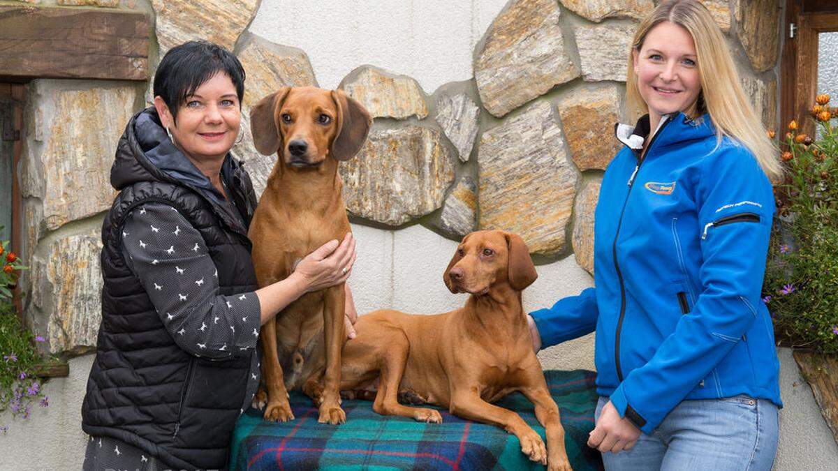 Weihnachten für Vierbeiner beim ersten Hunde-Christkindlmarkt