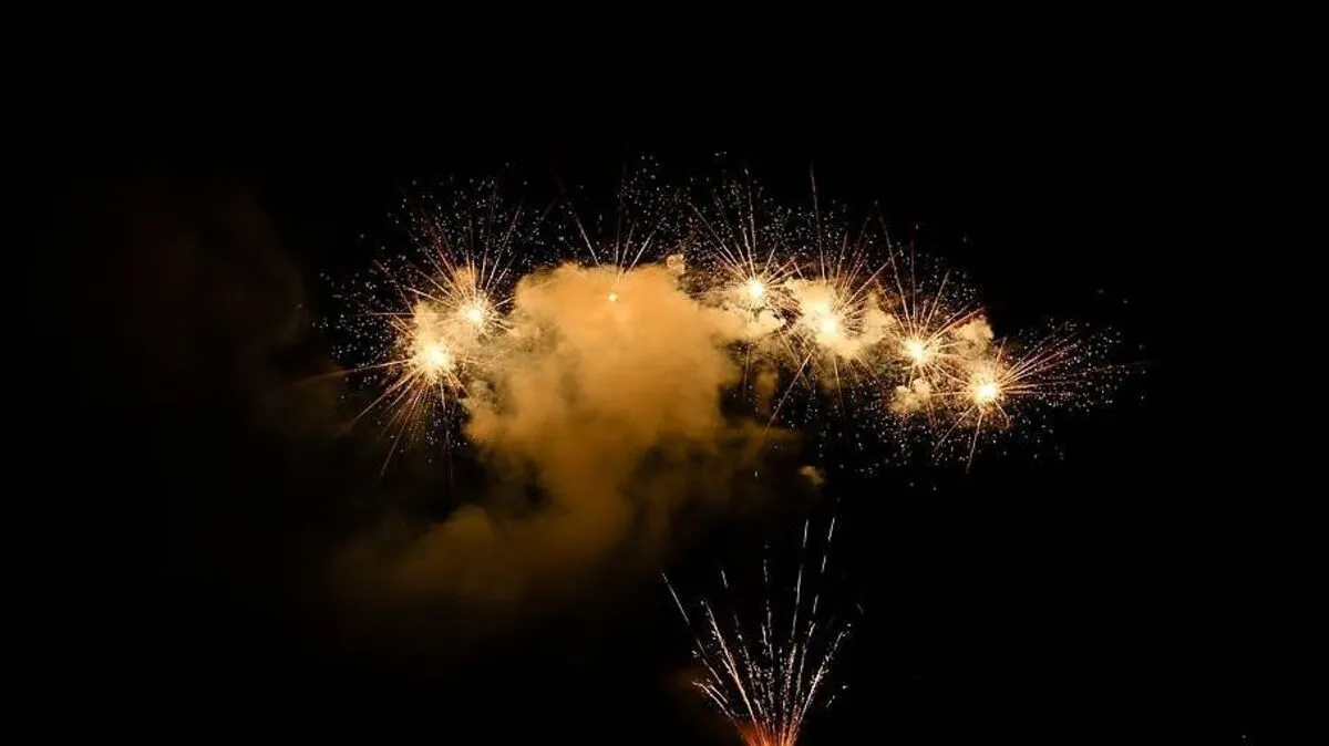 Hunderte Besucher verfolgten 2019 das Testschießen