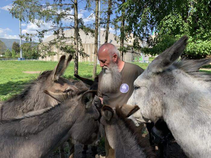 Ulrich Kettner umringt von seinen Eseln