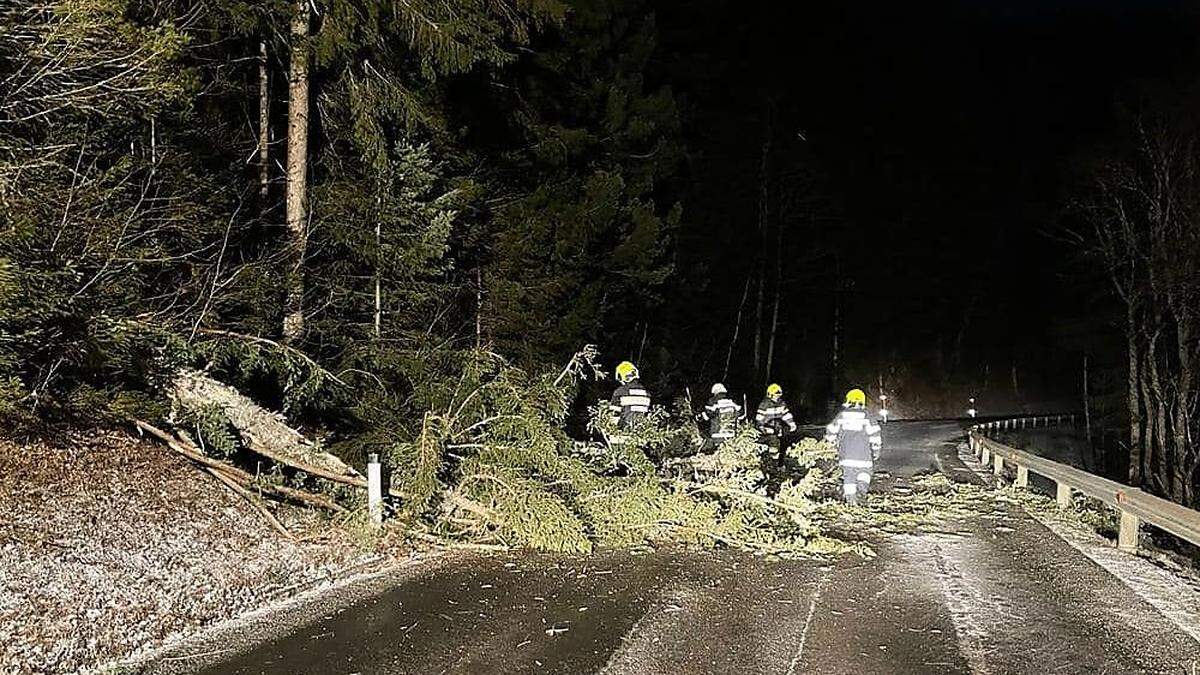 Auf der L407 zwischen Rettenegg und Feistritzwald musste ein Baum von der Straße entfernt werden