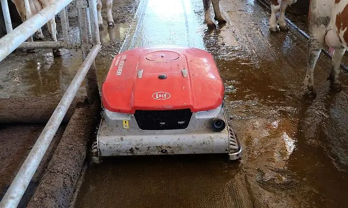 Entmistungs- roboter ersetzt Spaltenboden