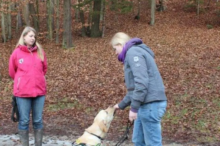 Und falls der Hund trotzdem etwas im Maul hat, soll er lernen, es wieder auszuspucken.